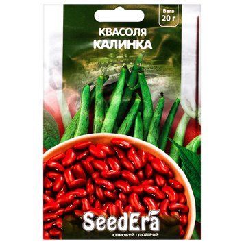 Квасоля Калинка KVAS-KALYNKA фото