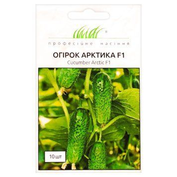 Огірок Арктика F1 OGI-ARKTYKA-F1 фото