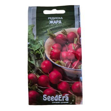 Редиска Жара RED-ZHARA фото